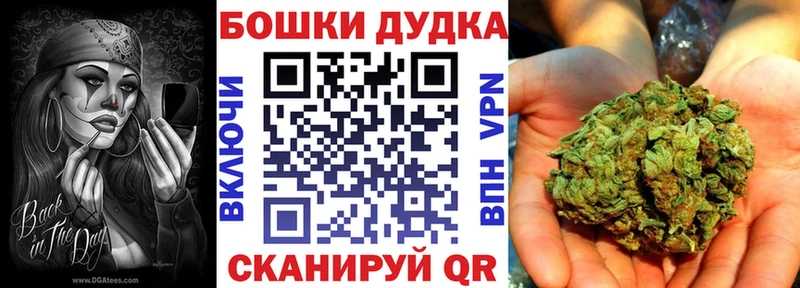 Бошки марихуана план  продажа наркотиков  Светогорск 